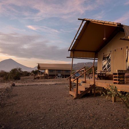 Africa Safari Lake Natron Mtowabaga エクステリア 写真