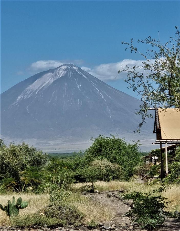 Africa Safari Lake Natron Mtowabaga エクステリア 写真